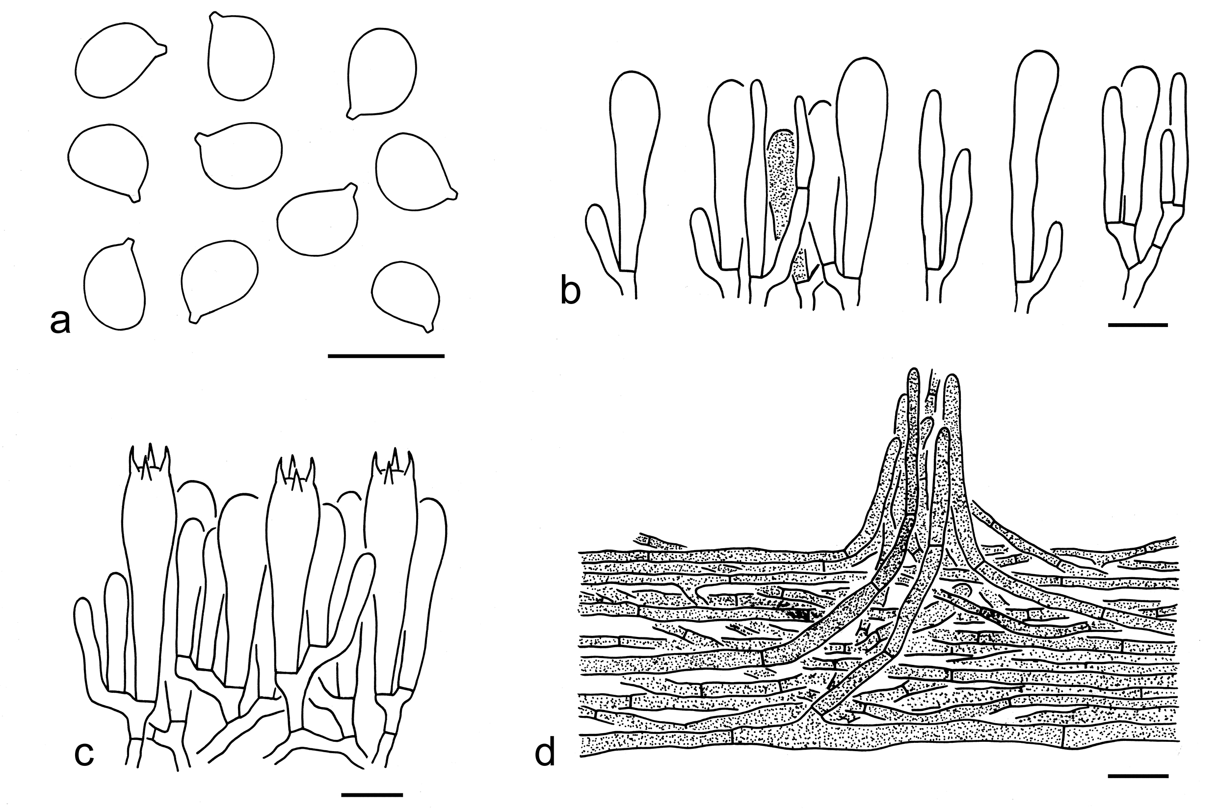 Figure 27